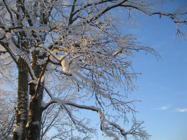 2010_talvikuvia 002.jpg